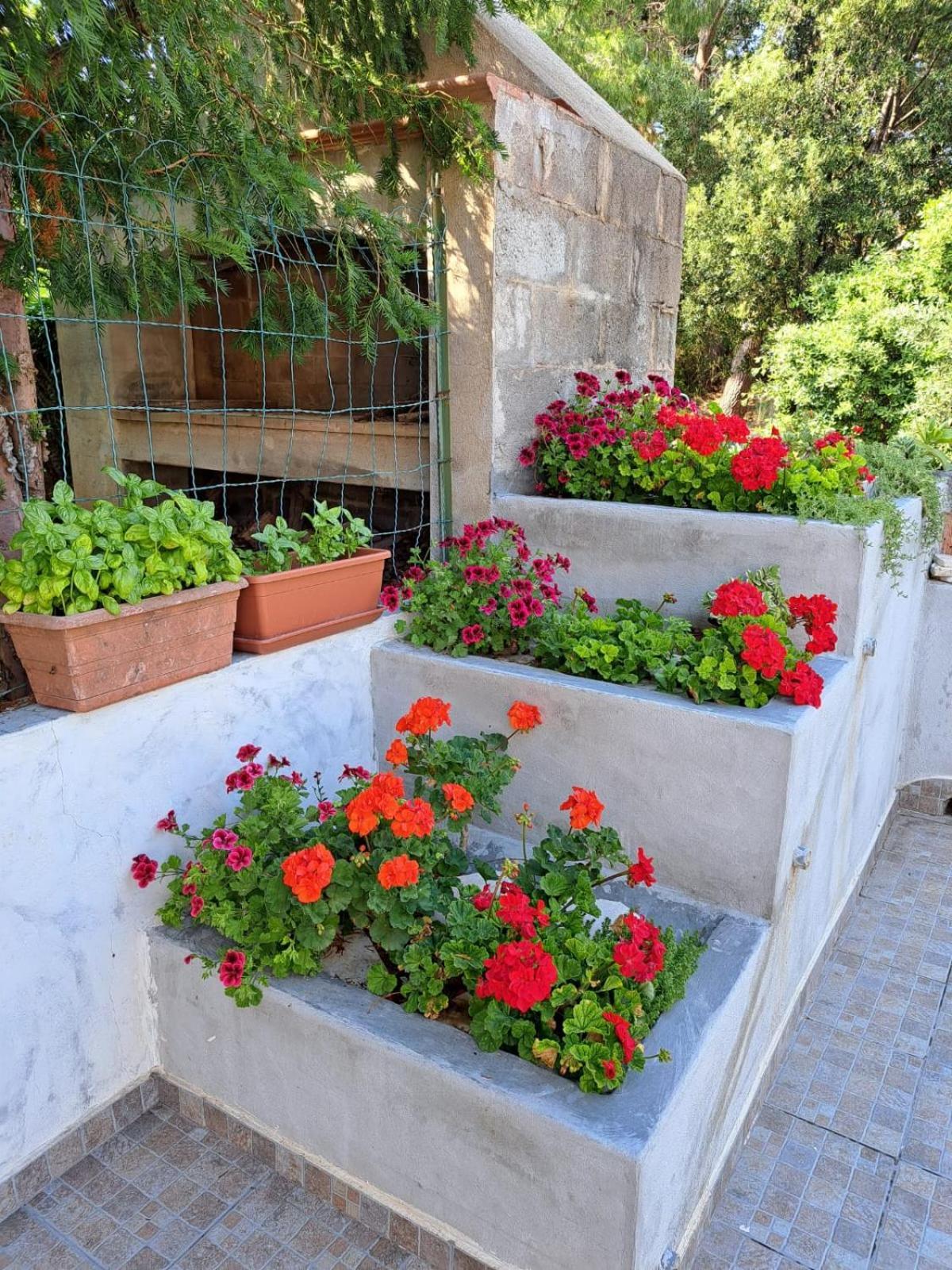 Appartement Domus De Mare à Cala Gonone Extérieur photo