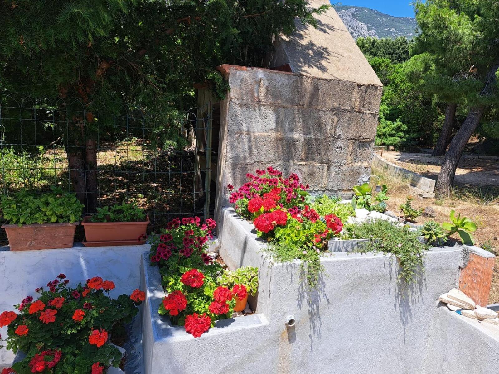 Appartement Domus De Mare à Cala Gonone Extérieur photo